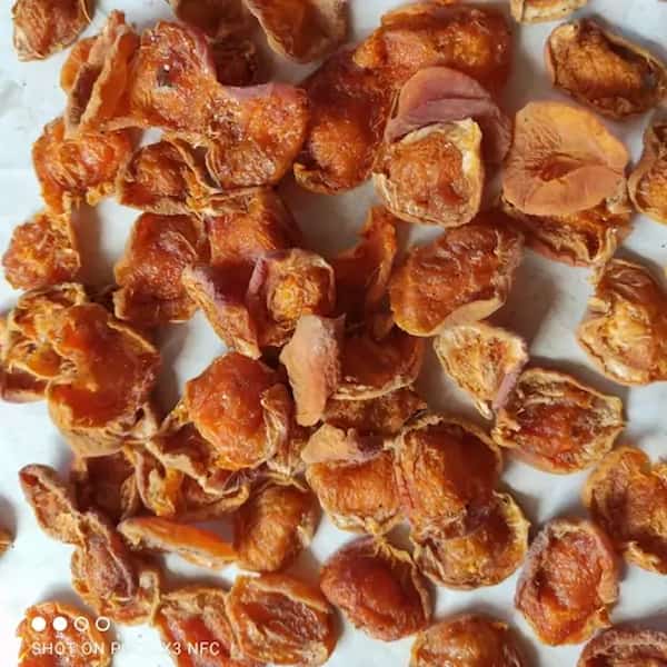 تصویر 3 از قیمت خرید برگه زردآلو آفتابی با فروش عمده